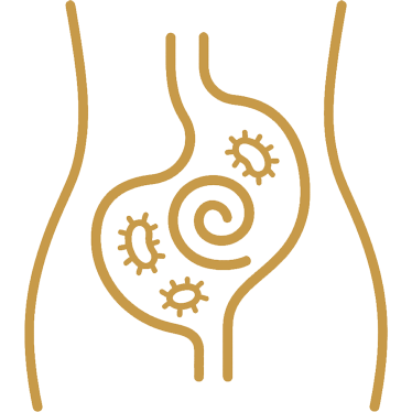 mejora-digestión-y-flora-intestinal